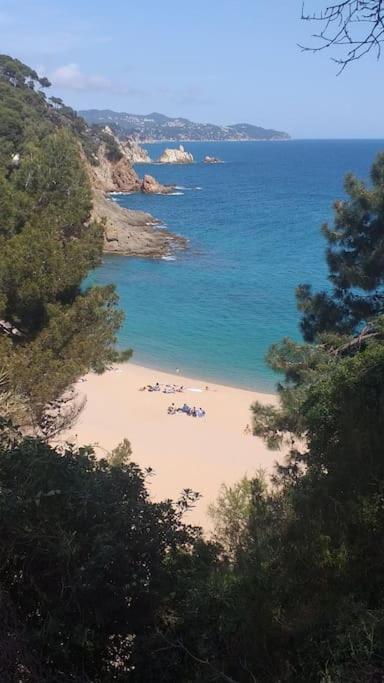 Alegre Apto Con Piscina, A 300M De La Playa. Blanes Zewnętrze zdjęcie